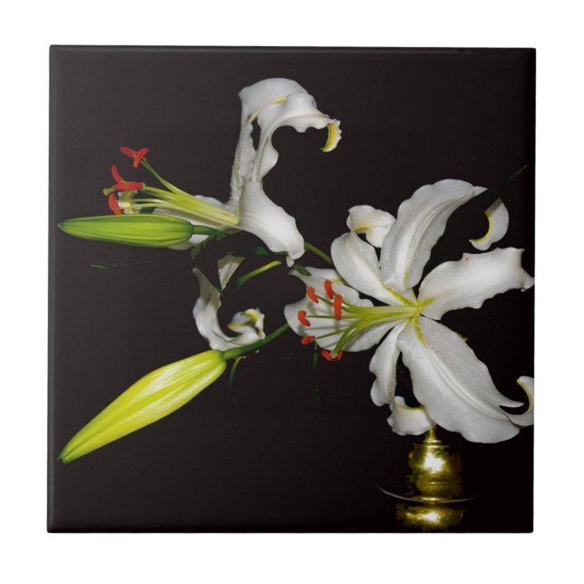 Design irlandês - Coleção de latas e flores (Frente)