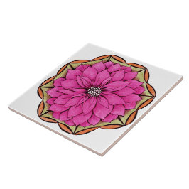 Design MAGENTA da POINSÉTIA