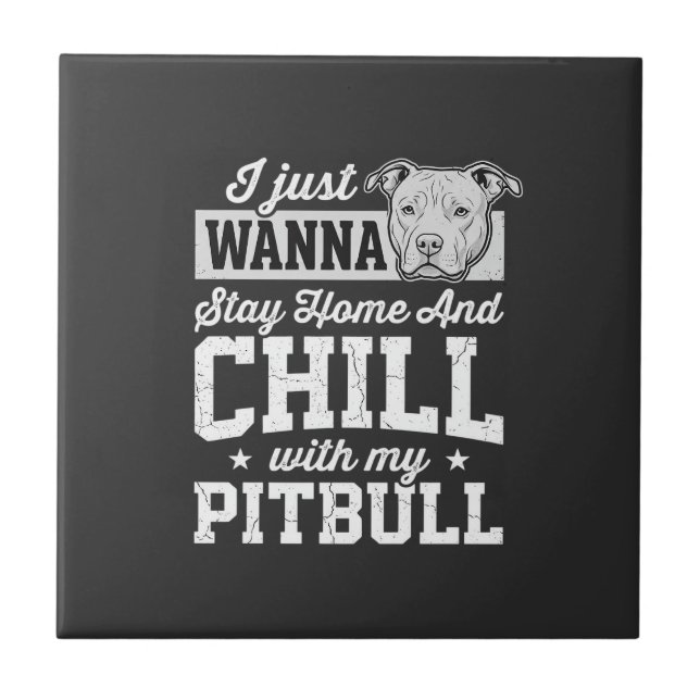 Design Pitbull Fique em Casa e Relaxe (Frente)