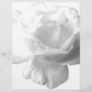 Design Rosa Branco