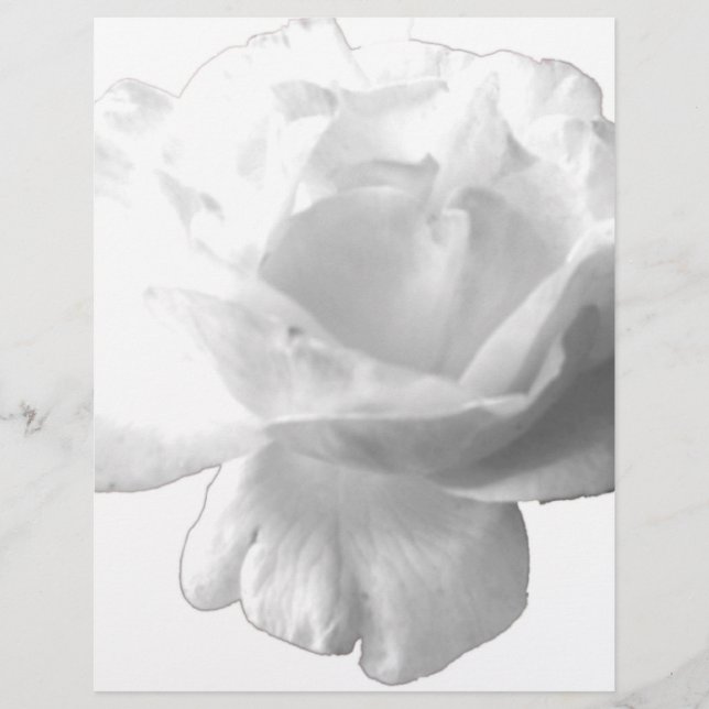 Design Rosa Branco (Frente)