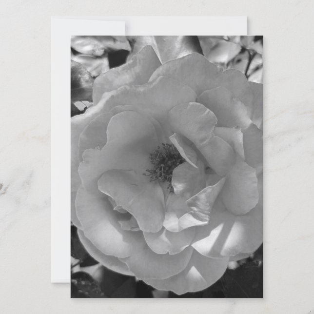 Design ROSA DE ESTILO DE DE CARTONAGEM DE CONVITE  (Frente)