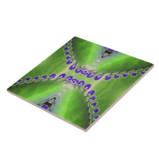 Design verde e roxo (Lateral)