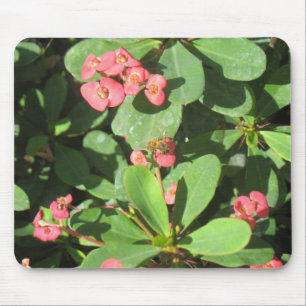 Desligue! Mousepad