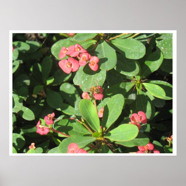 Desligue! Pôster (Frente)