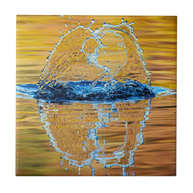 Despejo na noite de outono (Frente)