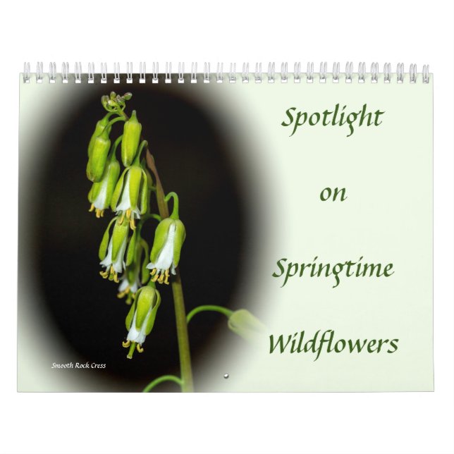 Destaque no Calendário do Springtime Wildflower (Capa)