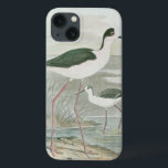 Destilações de nervo preto pela água<br><div class="desc">Este simples,  mas belo impressão de arte,  de dois punhos de pescoço negro parados na água num dia nublado,  parecerá perfeito em qualquer produto Zazzle. As cores neutras são muito relaxantes e tornariam um excelente adicional em sua casa ou escritório.</div>
