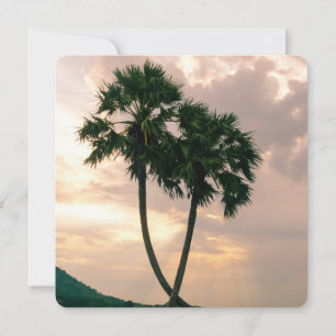 Destino Da Palma De Praia De Paraíso Tropical