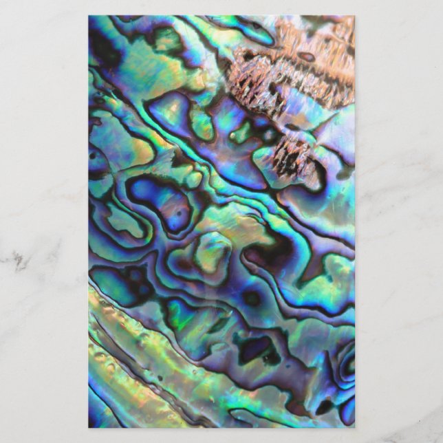 Detalhe da concha do haliote Paua (Frente)