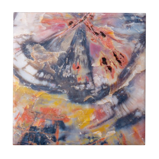 Detalhe da madeira Petrificada, Arizona (Frente)