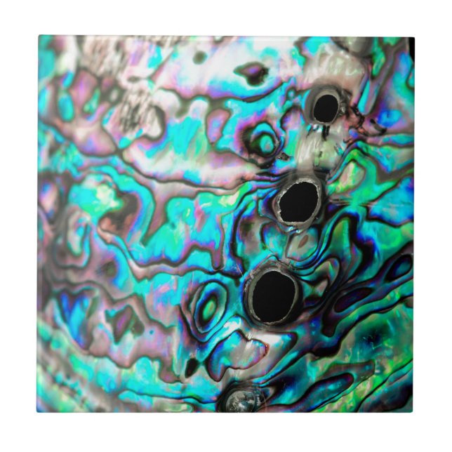 Detalhe da natureza da célula da calha da calha da (Frente)