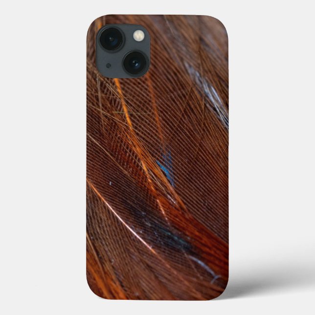 Detalhe Próximo de Pavão Colorido (Verso)