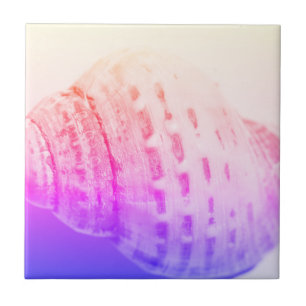 Detalhes da estrutura de textura da casca do ocean