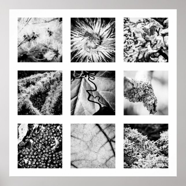 Detalhes da série Nature - Detalhes Poster (Frente)