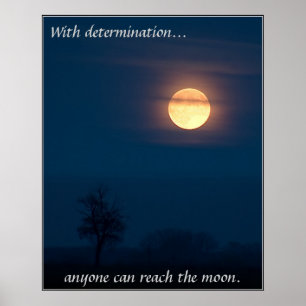 determinação pelo poster do tdgallery