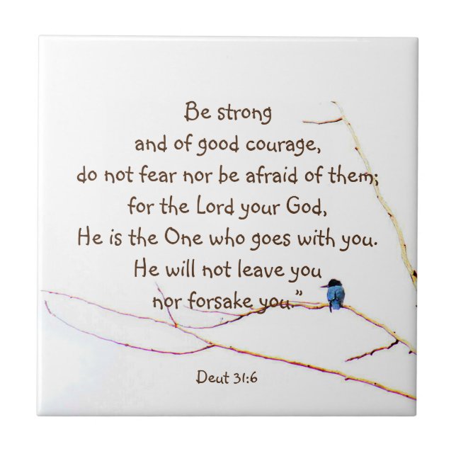 Deut 31:6 Você não está sozinho Bíblia Kingfisher  (Frente)