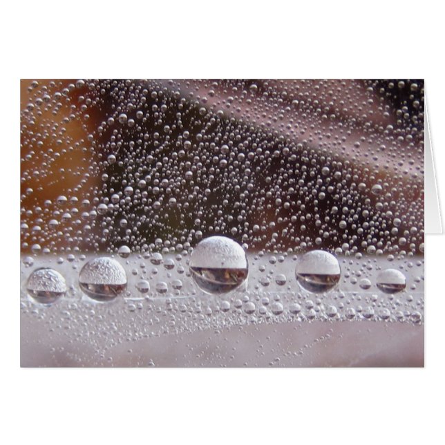 Dew Drop Yin Yang Cartão Natural Pacífico Com Poem (Frente Horizontal)