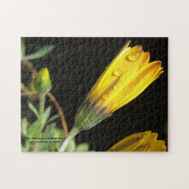 Dew Drops em uma margarida amarela - Quebra-cabeça