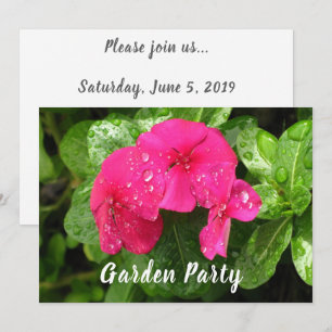 Dewdroits em Convites de festas do Jardim Periwink