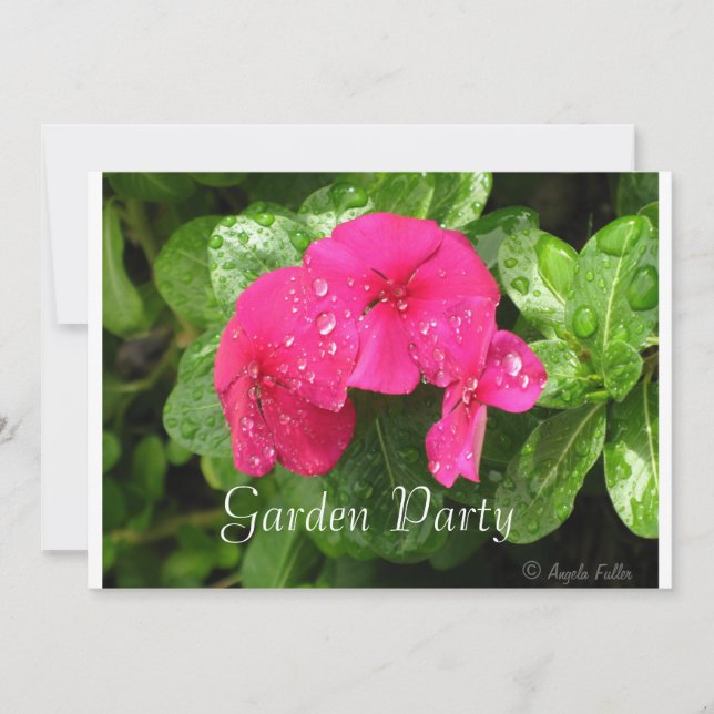 Dewdroits em Convites de festas do Jardim Periwink (Frente)