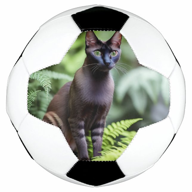Dexter O Gato Siamês Negro, Bola De Futebol (Frente)