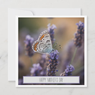 Dia das Mães Borboleta Fofa Lavanda Floral Persona