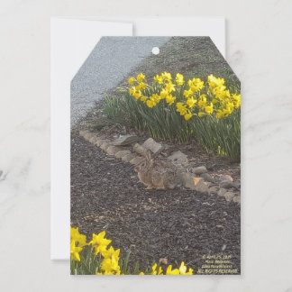 Dia de as mães Feliz 2025 por Placa Plana RoseWrit