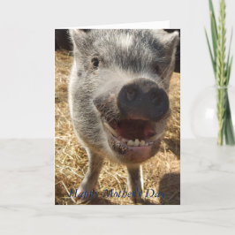 Dia de as mães Feliz, Cartão de Saudação Mini Pig,