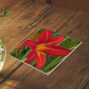 Dia de Lírio Laranja Brilhante Floral
