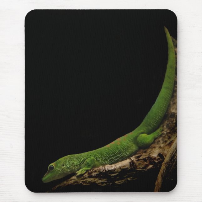Dia de Madagáscar - Gecko Mousepad (Frente)