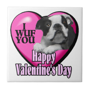 Dia de os namorados de Boston Terrier