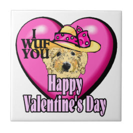 Dia de os namorados de Goldendoodle