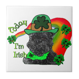 Dia de São Patrício Affenpinscher