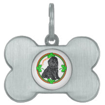 Dia de São Patrício de Cockapoo
