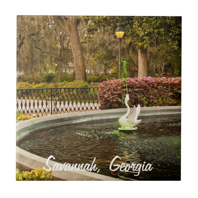 Dia de São Patrício - fonte de Forsyth, savana, GA (Frente)