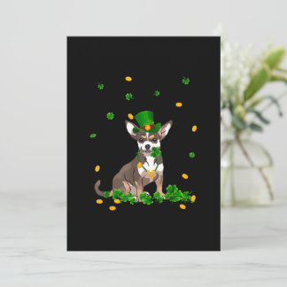 Dia de São Patrício Irlandês Chihuahua Com Gif De 