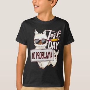 Dia do Teste de Camisa Sem Prob Lama