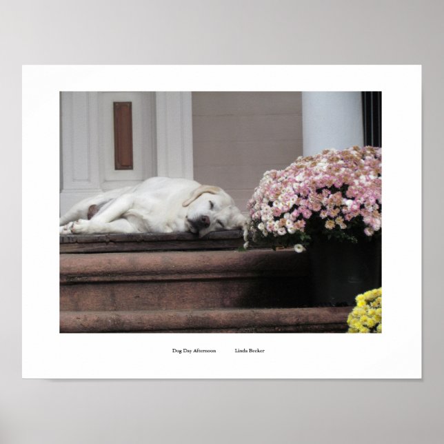 Dia dos Cachorros - Impressão (Frente)