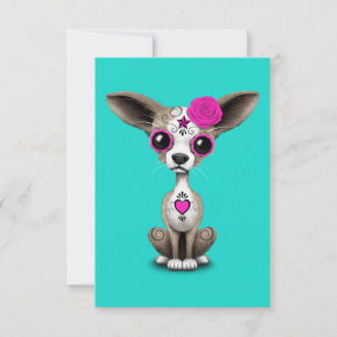 Dia rosa dos mortos Chihuahua