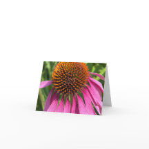 Dia Rosa - Obrigado Cartões