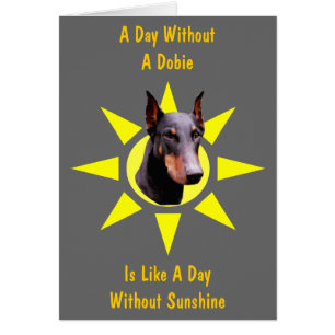 Dia Sem Cartão Dobie Cute Doberman