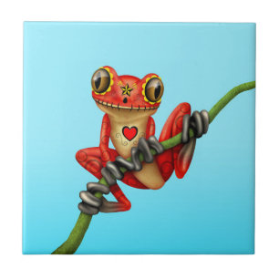 Dia vermelho do sapo de árvore inoperante do