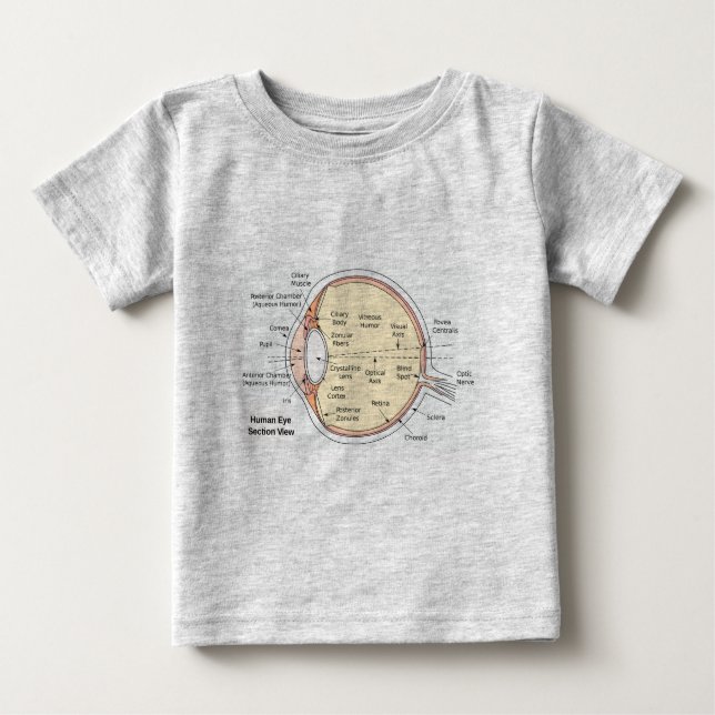 Diagrama Anatômico da Camisa do Bebê do Camisa T (Frente)