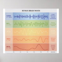 Diagrama das ondas do cérebro humano - Poster das 