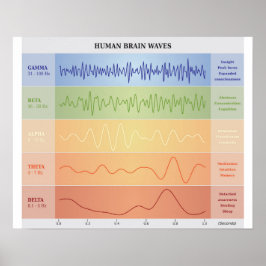 Diagrama das ondas do cérebro humano - Poster das