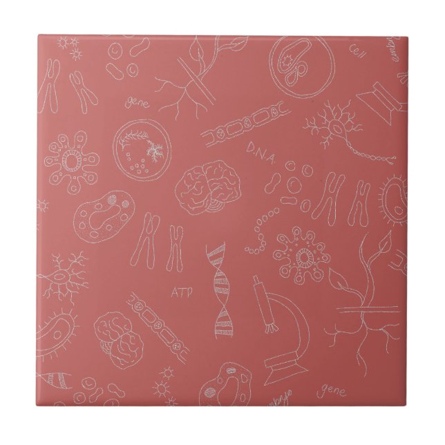 diagrama de biologia cor-de-rosa design dusky (Frente)