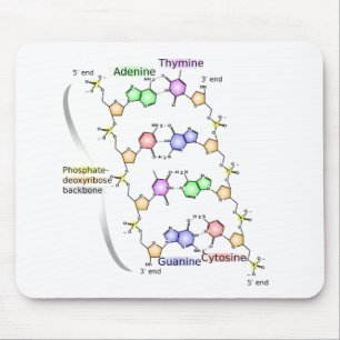 Diagrama do Mouse Pad da estrutura química do DNA
