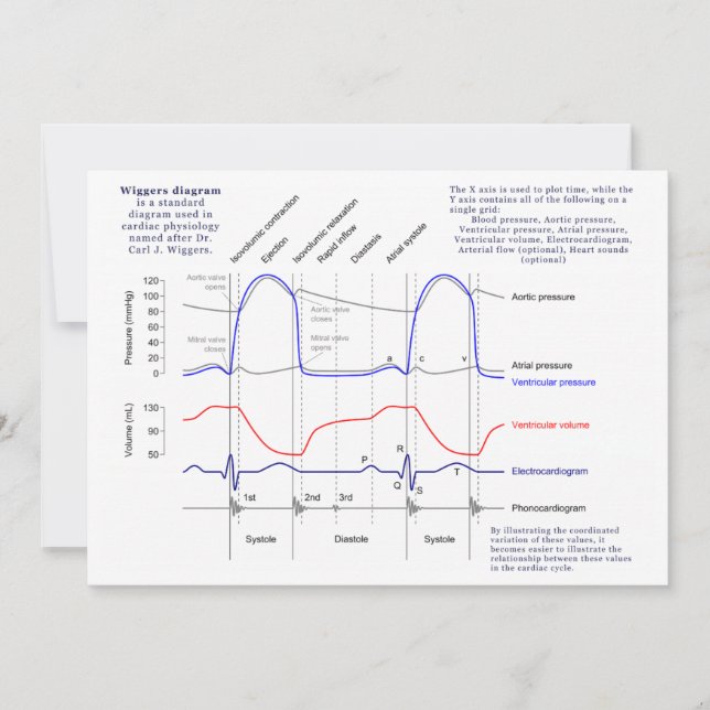 Diagrama Wiggers (Frente)