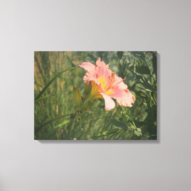 Diariamente na Canvas do Sol (Frente)